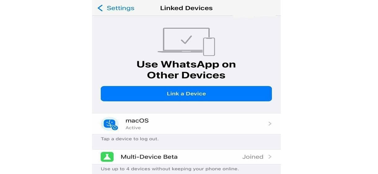 بدون گوشی از واتس‌اپ دسکتاپ استفاده کنین!