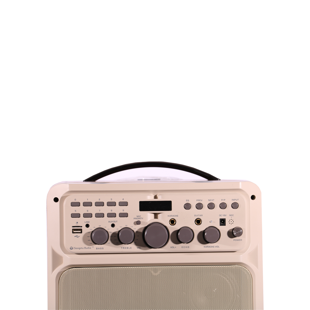 اسپیکر songmu d11-c