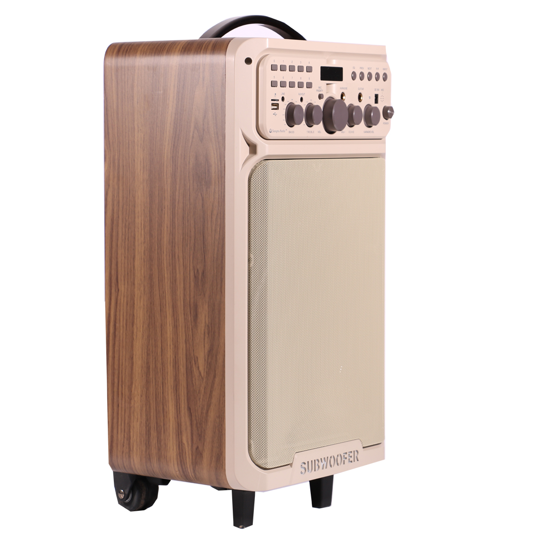 اسپیکر songmu d11-c